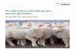 Production feeding for lamb growth · Drench cost per lamb 0.21 Vaccination cost per lamb 0.24 Crutching and shearing cost per lamb 2.70 Feed 1.8kg @ $0.32/kg x 70 days in feedlot