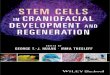 STEM CELLS IN · 2013-07-23 · 10 Stem Cells, Induced Pluripotent Stem Cells, and Their Differentiation to Speciﬁed Lineage Fates 205 George T.-J. Huang, Xiao-Ying Zou, Xing Yan,