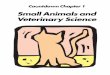 Small Animals and Veterinary Science - Home | Clark€¦ · Small Animals and Veterinary Science In this activity you will: Fill in the Blanks—Key • learn facts about different