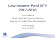 Low Income Pool SFY 2017-2018 · Additional Flexibilities • Allows expenditure of LIP funds for hospitals, FQHCs/RHCs, and Medical School Physician practices. • Allows additional