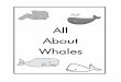 All About Whales · 2020-04-22 · toothed whale. These are very sociable whales and live in large pods. They live in arctic waters and migrate in the spring. Mother and calf form