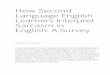 How Second Language English Learners Interpret Sarcasm in ... · Sarcasm in English: A Survey Jack Dolan Irony is prevalent in most daily situations. Native English speakers tend