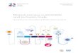 Mainstreaming sustainable and inclusive trade€¦ · This guide was prepared by the ITC strategic working group on mainstreaming sustainable and inclusive development, ... Guiding