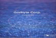 Gorbyte Corp. · - Conversion. For each Ten (10) GOR Tokens held, the Token holder, at the Token holder’s sole discretion can elect to exchange Ten Tokens for One (1) share of the