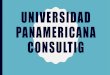 UNIVERSIDAD PANAMERICANA CONSULTIG · UNIVERSIDAD PANAMERICANA CONSULTIG. AGENDA 1. FACTS & PROBLEMS 2. ANALYSIS 3. ALTERNATIVES & RECOMMENDATIONS 4. IMPLEMENTATION 5. CONCLUSION