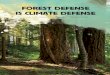 Forest DeFense is Climate DeFense - Oregon Wild · 4 | Oregon Wild — Forest Defense is Climate Defense solution #1 MOdernIze OregOn’S LOggIng LAwS In Oregon, about 40% of forestland