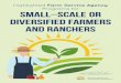 Highlighted Farm Service Agency Programs for Small Scale or …€¦ · • Available to BFRs, minority, and/or women applicants who meet the other eligibility requirements for FO