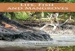 Life, Fish and Mangroves - University of Ottawa · and Mangroves Resource governance in coastal Cambodia. Governance Series Governance is the process of effective coordination whereby