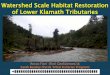 Watershed Scale Habitat Restoration of Lower Klamath ... · • Rocco Fiori – Engineering Geologist/Operating Engineer, Fiori GeoSciences • Sarah Beesley – Fisheries Biologist,