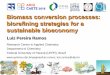 Biomass conversion processes: biorefining strategies for a …caets2018.aniu.org.uy/wp-content/uploads/2018/09/8.-Luiz-Pereira-R… · industrial market. Kamm, B. and M. Kamm, Principles