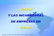 SEBRAE Y LAS INCUBADORAS DE EMPRESAS EN BRASIL Seminario Mar del Plata/SEBRAE- Saboi… · sebrae y las incubadoras de empresas en brasil seminÁrio internacional de paises latinos