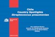 Chile Country Spotlights Moreno.pdf · VIGILANCIAS PARA ENF. RESPIRATORIAS EN CHILE ETI -Vigilancia centinela -Circulación viral -Consultas de urgencia hospitalarias influenza neumonia