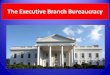 The Executive Branch Bureaucracy · Bureaucracy • A large, complex ... –Largely free of Presidential control . Independent Executive Agencies • Performs public tasks –Specialize