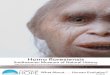 (01) H. floresiensis | The Smithsonian Institution's Human ... · The genus name Homo is the Latin word for ‘human’ or ‘man’. The species name floresiensis recognises the