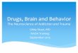 Drugs, Brain and Behavior · Numbs pain – physical and emotional Helps to cope with the effects of trauma/abuse Disinhibits – aids social interactions Creates energy Provides
