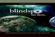 BLINDSPOT-ADVISORS€¦ · strengthens your image, and ultimately gives you an advantage over your competition. PAGE 4 • BLINDSPOT-ADVISORS.COM Corporate Identity Does your business