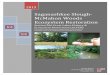 Saganashkee Slough- McMahon Woods Ecosystem Restoration...This project can provide a vital piece to the large-scale Great Lakes restoration area by providing a significant quantity