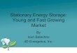 Stationary Energy Storage: Young and Fast Growing Marketrysslandshandel.se/en/wp-content/uploads/2015/11/4D-Energetics.pdf · 4D Energetics, Inc. Electricity Is Not Storable Commoidy