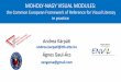 MOHOLY-NAGY VISUAL 2018-09-27¢  Moholy-Nagy Visual Modules 1) Multicultural visual communication: decoding
