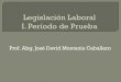 Prof. Abg. José David Montanía n Laboral Clase II.pdf · PDF file misma clase de trabajo, no regirá el período de prueba. Art. 60. Durante el período de prueba, cualquiera de
