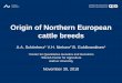 Origin of Northern European cattle breeds · Origin of Northern European cattle breeds A.A. Schönherz 1V.H. Nielsen2 B. Guldbrandtsen 1Center for Quantitative Genetics and Genomics
