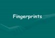 Fingerprints · •Plastic fingerprints – actual indentations left in some soft materials like clay or wax •Latent fingerprints – hidden prints –Caused by the transfer of
