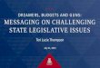 DREAMERS, BUDGETS AND GUNS: MESSAGING ON … · july 21, 2015 dreamers, budgets and guns: messaging on challenging state legislative issues teri lucie thompson