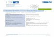 European Technical ETA-13/1036 Assessment of 15 December … · 2020-05-18 · European Technical Assessment ETA-13/1036 English translation prepared by DIBt Page 3 of 40 | 15 December