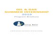 OIL & GAS SUMMER INTERNSHIP 2019 - Drilling Mentor · P4: Drilling Fluid Operations – Field Practices Summer Internship SI19-1P4 01.02.2019 - 15.04.2019 June, 2019 24.06.2019 6