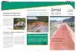 Jornal - Contorno de Florianópolis · O projeto foi batizado de Viva Restinga e é uma compensação ambiental pela construção do Contorno Viário. O trabalho vai ser desenvolvido
