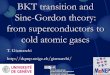 BKT transition and Sine-Gordon theory: from ...pro.college-de-france.fr/jean.dalibard/CdF/2017/seminaires/Giamarch… · Where to look for BKT nClassical two dimensional systems (XY