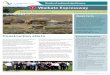 Waikato Expressway: Rangiriri section - Information sheet ... · • the historic battle trench will be symbolically recreated through the installation of carved pou on the site •