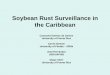 Soybean Rust Surveillance in the Caribbean · Phakopsora Rust in Puerto Rico • First report of Phakopsora rust in Puerto Rico in 1915 in Dolichus lablab L. and Teramnus uncinatus