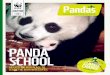 PANDA SCHOOLawsassets.wwfhk.panda.org/downloads/wwf_animal... · panda survey estimated that 10 giant pandas live in the reserve compiled by wan hui of wwf-china’s giant panda programme,