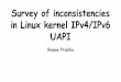 UAPI in Linux kernel IPv4/IPv6 Survey of inconsistencies · 3ffe:304:124:2306::/64 via fe80::c26:cdff:feca:18f2 dev dummy2 metric 1024 3ffe:304:124:2306::/64 via fe80::d850:e7ff:fe87:cf6a