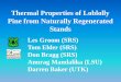 Thermal Properties of Loblolly Pine from Naturally Regenerated … · Louisville, KY Workshop on Renewable Energy and Energy Efficiency March 26, 2013. Loblolly Bole –CO% (raw)