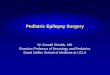 Pediatric Epilepsy Surgery Shields Surgery.pdf · Morrell, 1997 in Epilepsy: A Comprehensive Textbook. Ch 177 . Multiple Subpial Transection: Conceptual Framework . Alternative Therapies