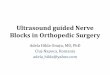 Ultrasound guided Nerve Blocks in Orthopedic Surgery · Ultrasound guided regional anaesthesia (UGRA) Kapral S, Krafft P, Eibenberger K, et al. Ultrasound-guided supraclavicular approach