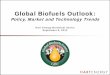 Global Biofuels Outlook - Amazon S3 · Global Biofuels Outlook: Policy, Market and Technology Trends Hart Energy Breakfast Series September 6, 2012 . Presentation Overview Petroleum