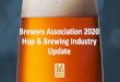Brewers Association 2020 Hop & Brewing Industry ... - USA Hops BA_Hop... · Sales 1st Qtr 2nd Qtr 3rd Qtr 4th Qtr 1st Qtr 2nd Qtr 3rd Qtr 4th Qtr 0 1 2 3 4 5 6 7 8 9 Sales Sales 2019