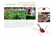Sarasota County Schools GARDEN TO CAFETERIA · 5 | Page porosity, and increases erosion. Instead, utilize mulch, cover crops, and hand‐weeding to decrease weeds. Better yet, get