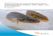 Eviran tutkimuksia 2/2011 Itämeren kalan ja muun ... · vat esiin samat kalalajit, joiden on aiemminkin todettu keräävän näitä ym-päristömyrkkyjä. Silakka, lohi ja meritaimen