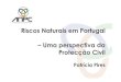 Riscos Naturais em Portugal –Uma perspectiva da Protecção ...€¦ · Riscos Naturais em Portugal –Uma perspectiva da Protecção Civil Patrícia Pires . 2 Objectivos da Protecção