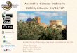 Asamblea General Ordinaria ELCHE, Alicante 24/11/17sociedadgeologica.es/archivos_pdf/asamblea_elche24nov2017.pdf · Asamblea General Ordinaria. Elche, 24/11/17 2.- INFORME DE LA PRESIDENTA