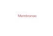 Membranas - IQ MEMBRANAS ¢â‚¬¢ As membranas tem estruturas t££o diversas quanto fun£§£µes ¢â‚¬¢Entretanto,