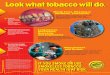Look what tobacco will do.€¦ · Smoking & Tobacco Use. 2004 Surgeon General's Report—The Health Consequences of Smoking; Highlights: Smoking Among Adults in the United States: