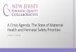 A Crisis Agenda: The State of Maternal Health and ... · 2017 Report from Maternal Mortality Review Committees: ... Participation with the New Jersey AIM project is voluntary. Hospitals
