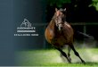 04 16 26 - Juddmonte Farms · The best value sire of blacktype winners in Europe in 2019 40 Expert Eye The Breeders’ Cup Mile Gr.1 winner with 2YO brilliance Frankel The fastest