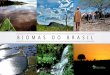 Apresentação do PowerPoint · Biomas O Brasil é formado por seis biomas de características distintas: Amazônia, Caatinga, Cerrado, Mata Atlântica, Pampa e Pantanal. Cada um