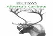 Alberta’s Caribou - Wolf Matters...6 Glen S. Brown et al., “Predicting the Impacts of Forest Management on Woodland Caribou Habitat Suitability in Black Spruce Boreal Forest,”